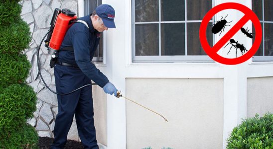 Soma Bit İlaçlama böcek ilaçlama ve haşere kontrolü — ilaclama-tr.com